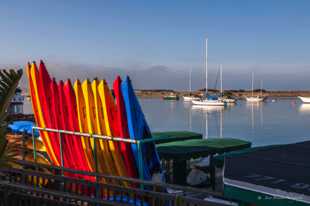 Morro Bay-6298.jpg Morro Bay-6298.jpg